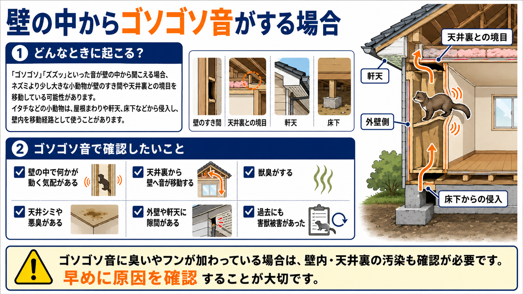 "壁の中からゴソゴソ音がする場合に、イタチなど小動物の侵入経路や確認ポイント、壁内や天井裏の汚染確認の必要性をまとめた解説図"