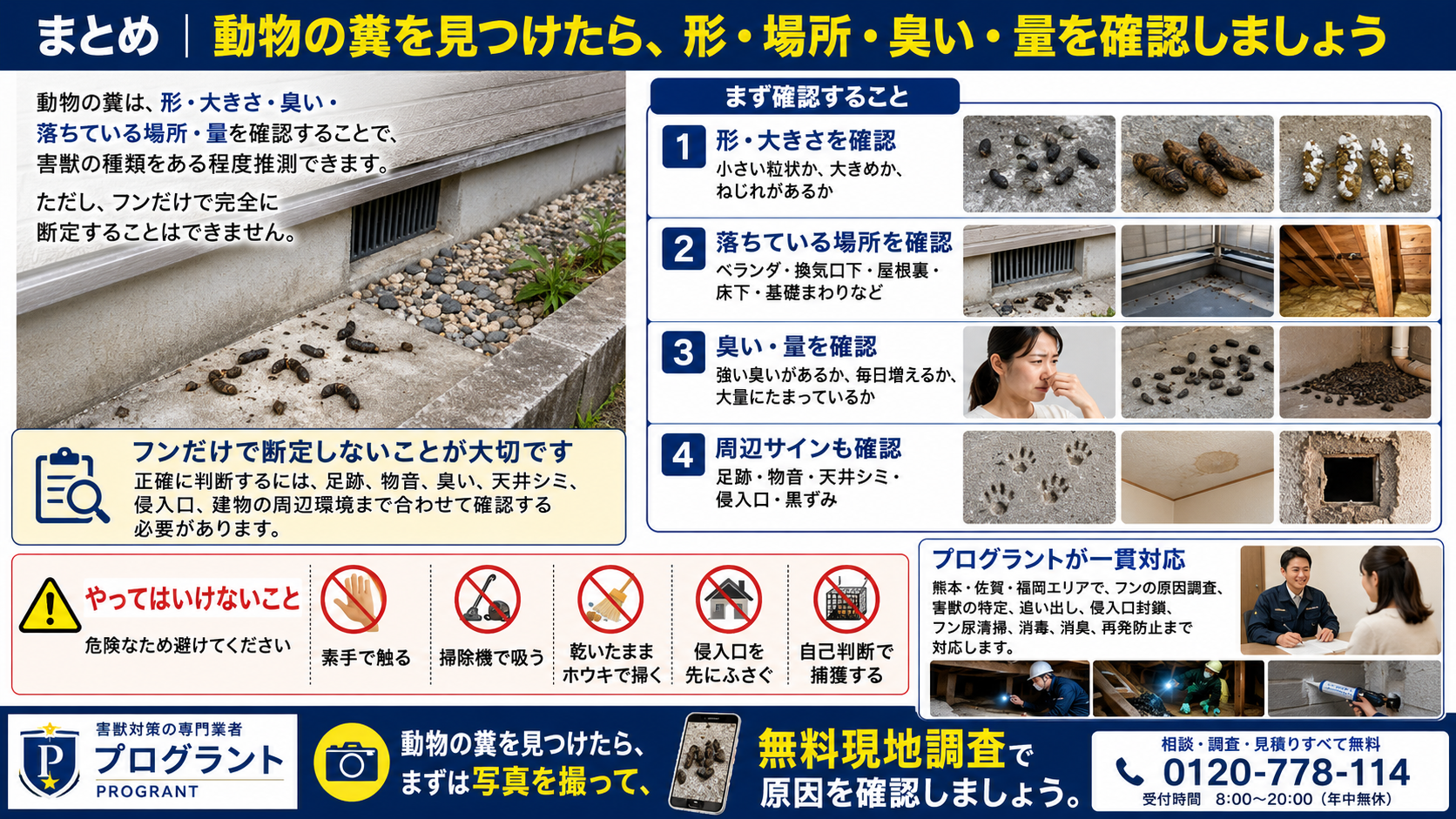 動物の糞を見つけたときに確認すべき形・大きさ・臭い・量・落ちている場所を写真付きで解説したまとめ画像。フンだけで害獣を断定せず、足跡・物音・天井シミ・侵入口・周辺環境まで確認する重要性、素手で触る・掃除機で吸う・侵入口を先にふさぐなどのNG行動、熊本・佐賀・福岡対応のプログラントによる原因調査・害獣特定・追い出し・侵入口封鎖・清掃消毒・再発防止までの流れをまとめた害獣対策インフォグラフィック。