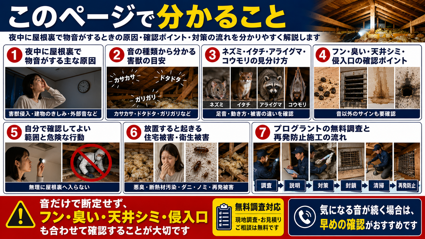 夜中に屋根裏で物音がする原因と確認ポイントを写真付きで解説したインフォグラフィック。ネズミ・イタチ・アライグマ・コウモリの見分け方、音の種類、フン・臭い・天井シミ・侵入口の確認、自分で確認してよい範囲と危険行動、放置による住宅被害・衛生被害、プログラントの無料調査と再発防止施工の流れをまとめた害獣対策画像