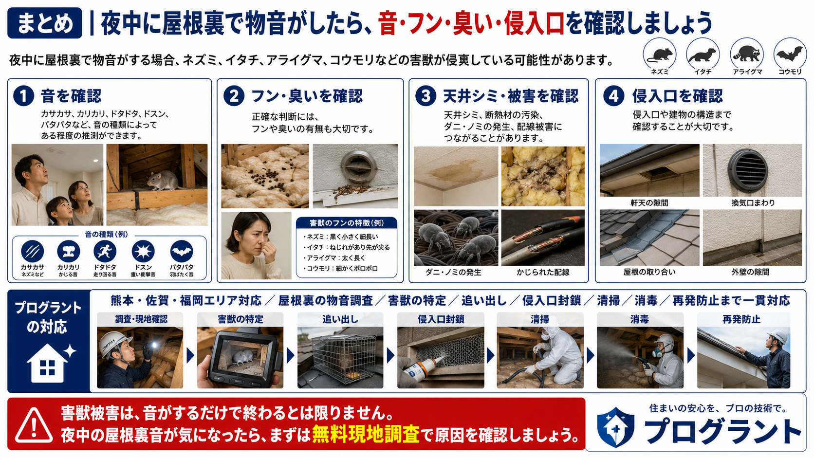 夜中に屋根裏で物音がしたときの確認ポイントをまとめた画像で、音・フン・臭い・天井シミ・侵入口の見分け方と、プログラントの無料現地調査から追い出し・封鎖・清掃・消毒・再発防止までの対応を解説