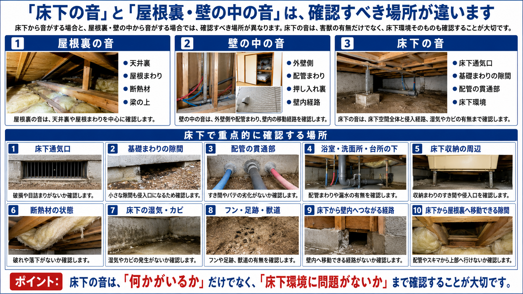 床下の音と屋根裏・壁の中の音の違いを比較し、床下通気口・基礎まわり・配管貫通部・湿気・カビ・フン・足跡など床下で確認すべき場所を解説した画像