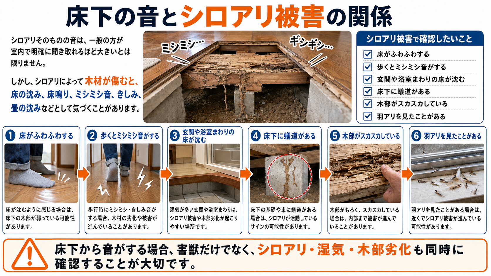 床下の音とシロアリ被害の関係を写真付きで解説。床がふわふわする、歩くとミシミシ音がする、玄関や浴室まわりの床沈み、床下の蟻道、木部劣化、羽アリ発生などシロアリ被害の確認ポイントを紹介