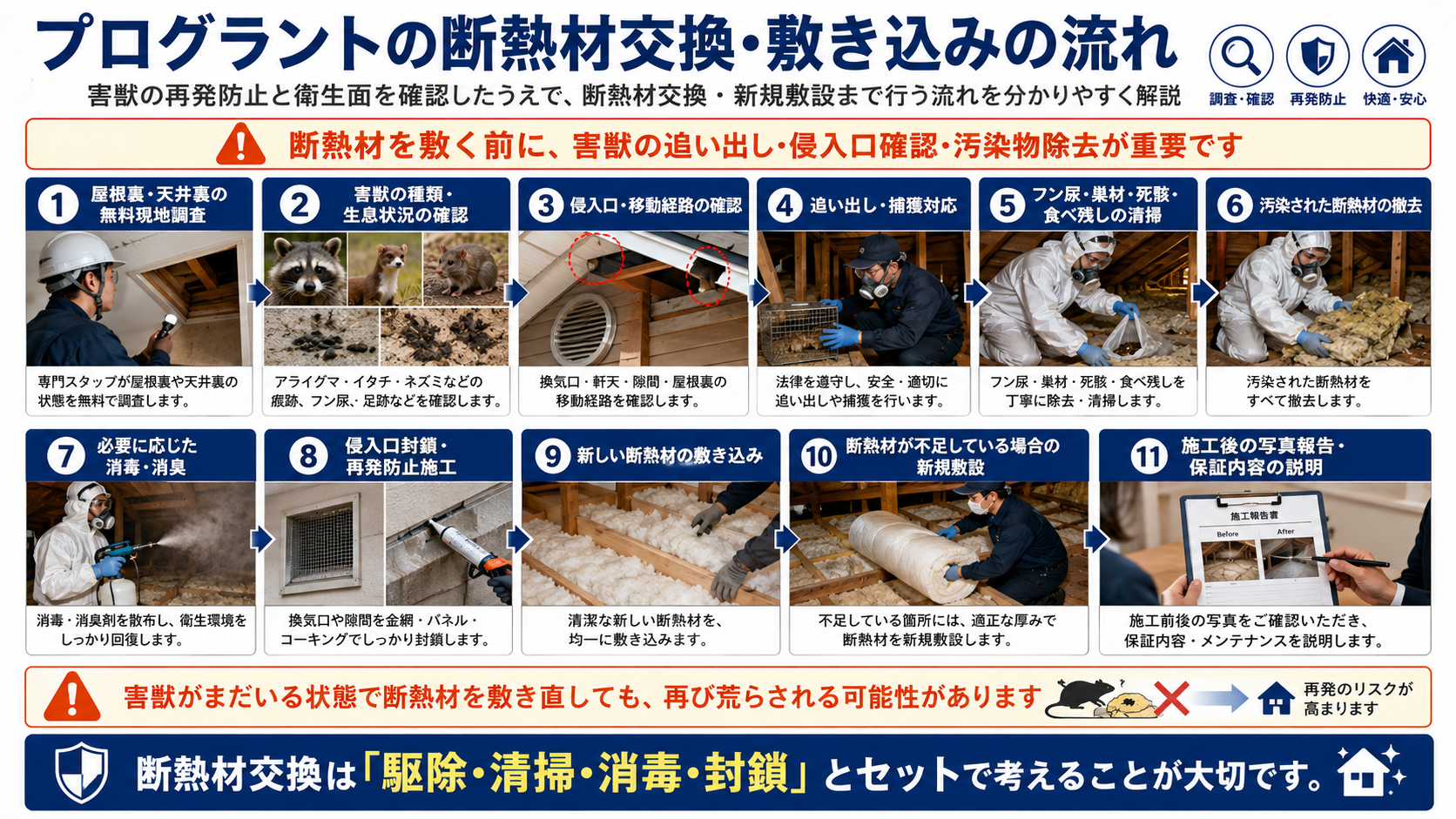 プログラントの断熱材交換・敷き込みの流れとして屋根裏調査、害獣確認、侵入口確認、追い出し、フン尿清掃、汚染断熱材撤去、消毒消臭、侵入口封鎖、新しい断熱材施工、写真報告と保証説明までを解説した画像 