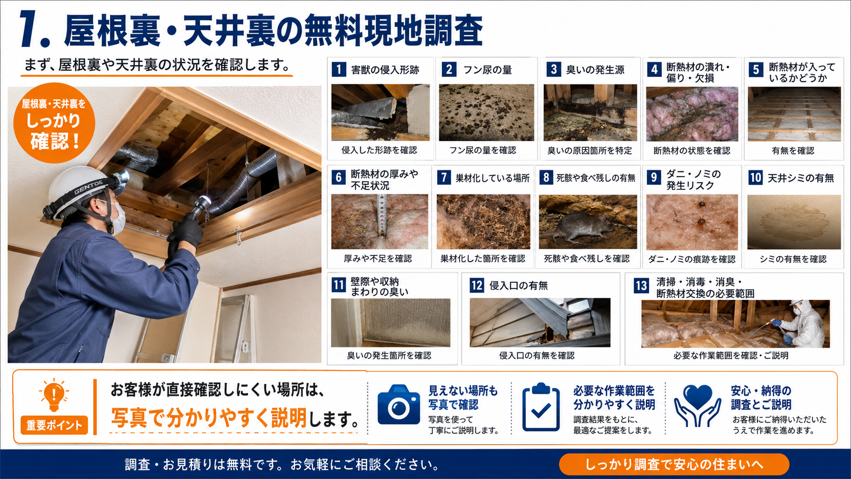 屋根裏・天井裏の無料現地調査で害獣の侵入形跡、フン尿、臭い、断熱材の状態、死骸や食べ残し、ダニ・ノミリスク、天井シミ、侵入口、清掃消毒や断熱材交換の必要範囲を確認する流れを解説した画像