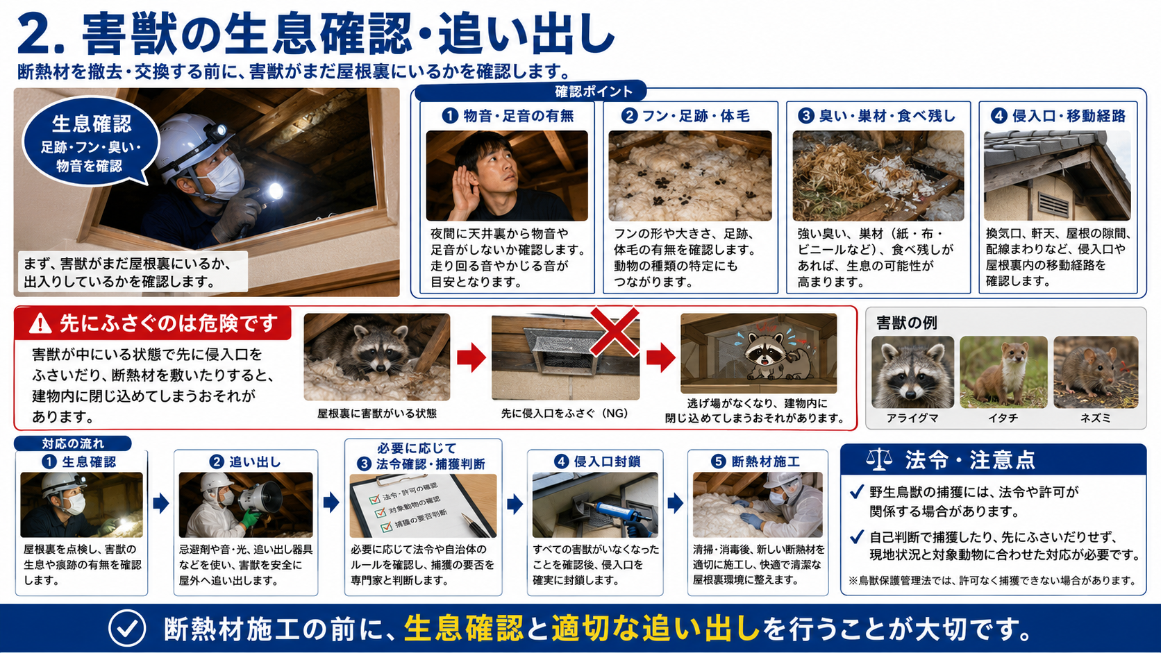 断熱材交換前に屋根裏の害獣生息確認と追い出しを行う重要性を解説し、動物が中にいる状態で侵入口封鎖や断熱材施工を行う危険性、法令や捕獲許可への注意点をまとめた画像 