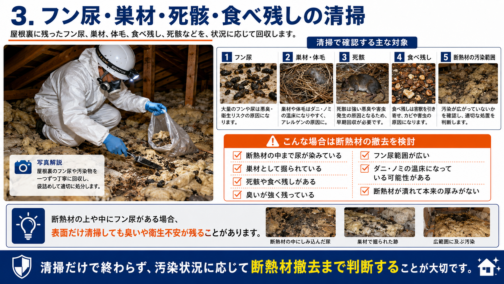 屋根裏に残った害獣のフン尿・巣材・体毛・死骸・食べ残しの清掃と、断熱材の中まで汚染されている場合に撤去を検討すべき理由を解説した画像 