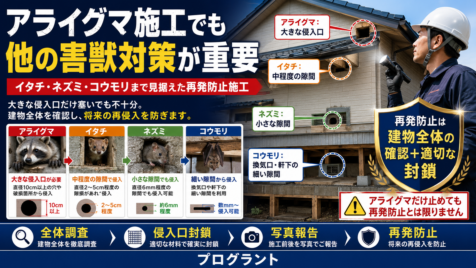アライグマ駆除後もイタチ・ネズミ・コウモリの再侵入を防ぐため、建物全体の侵入口確認と適切な封鎖が重要な理由を解説した画像