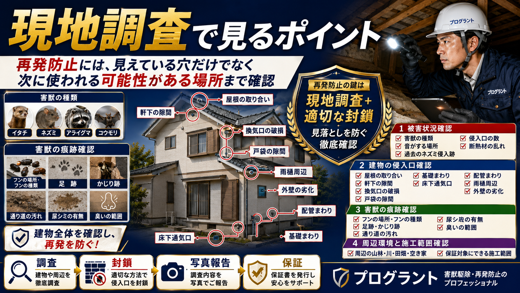害獣駆除の現地調査で確認する害獣の種類・侵入口・フンや足跡・建物劣化・周辺環境と再発防止施工の重要性を解説した画像