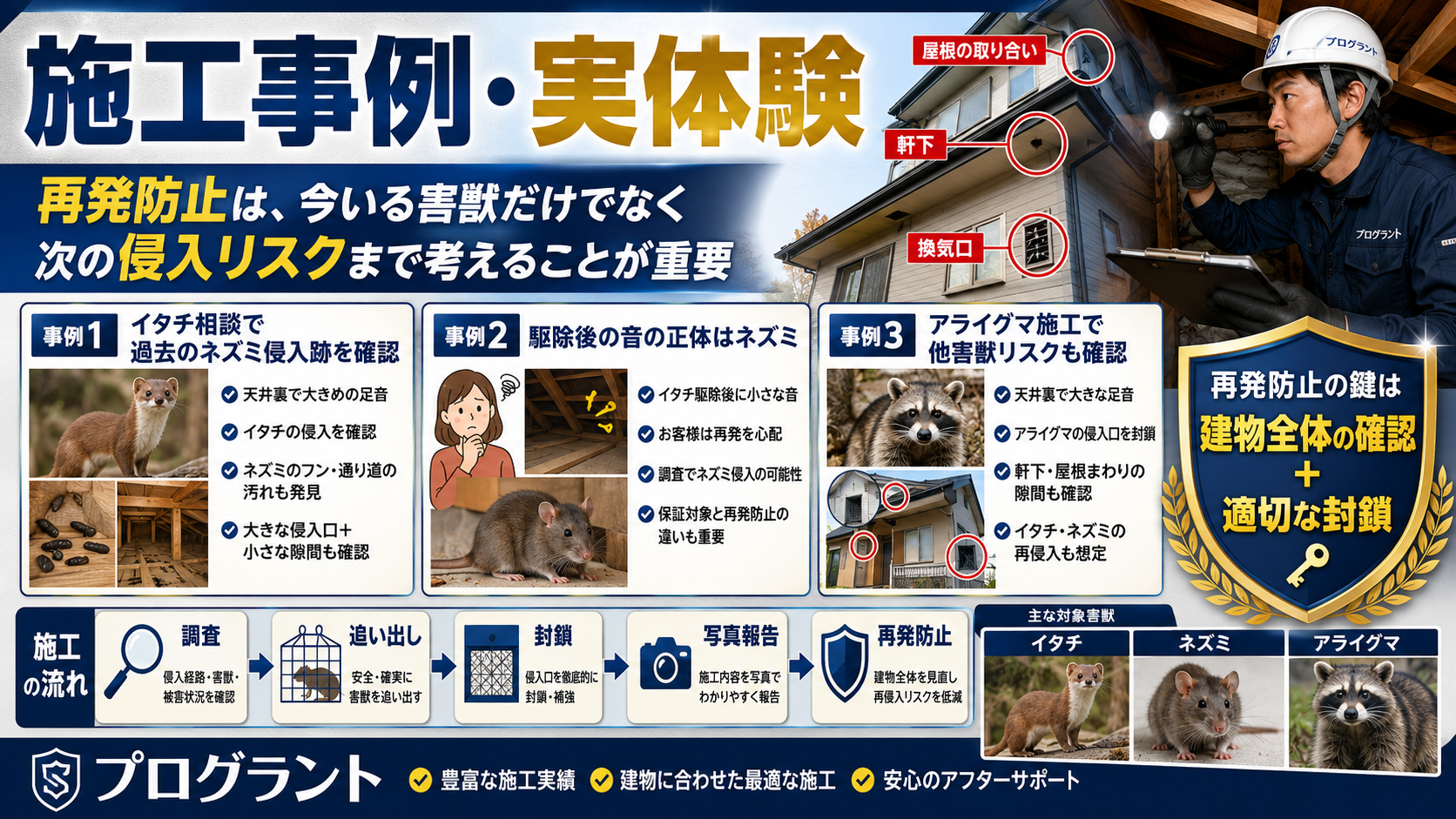 害獣駆除の施工事例として、イタチ相談時のネズミ侵入跡確認やアライグマ施工後の別害獣リスクまで見据えた再発防止施工を解説した画像