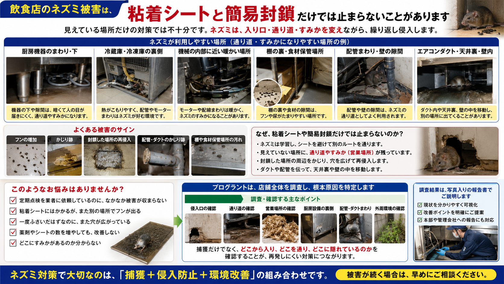 飲食店のネズミ被害が粘着シートや簡易封鎖だけでは止まらない理由を、厨房機器裏・冷蔵庫裏・配管まわり・エアコンダクト・営巣場所・侵入経路の原因調査まで写真付きで解説した画像