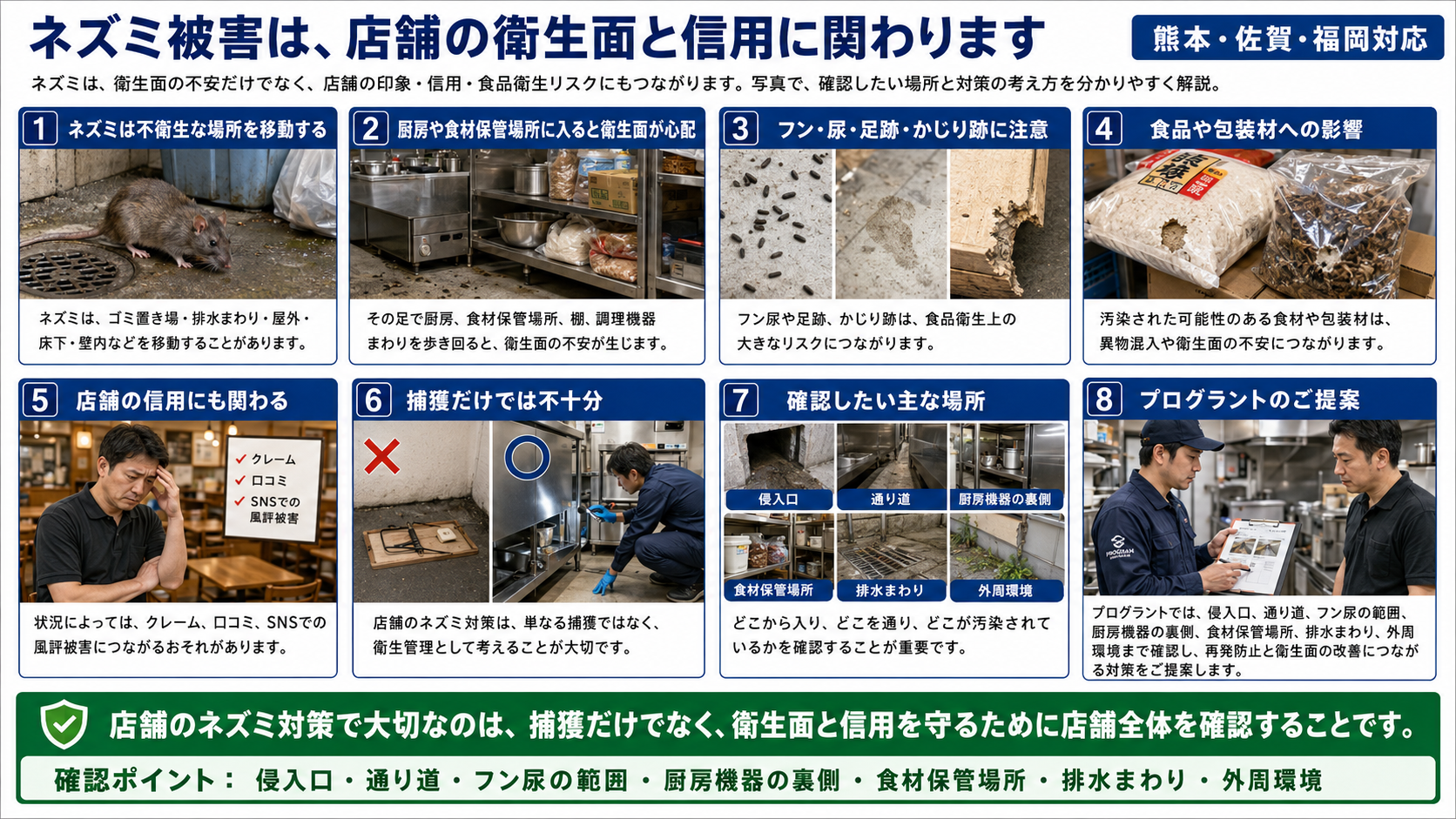 熊本・佐賀・福岡の店舗・飲食店のネズミ駆除・ゴキブリ対策におけるネズミ被害は、店舗の衛生面と信用に関わりますの解説図