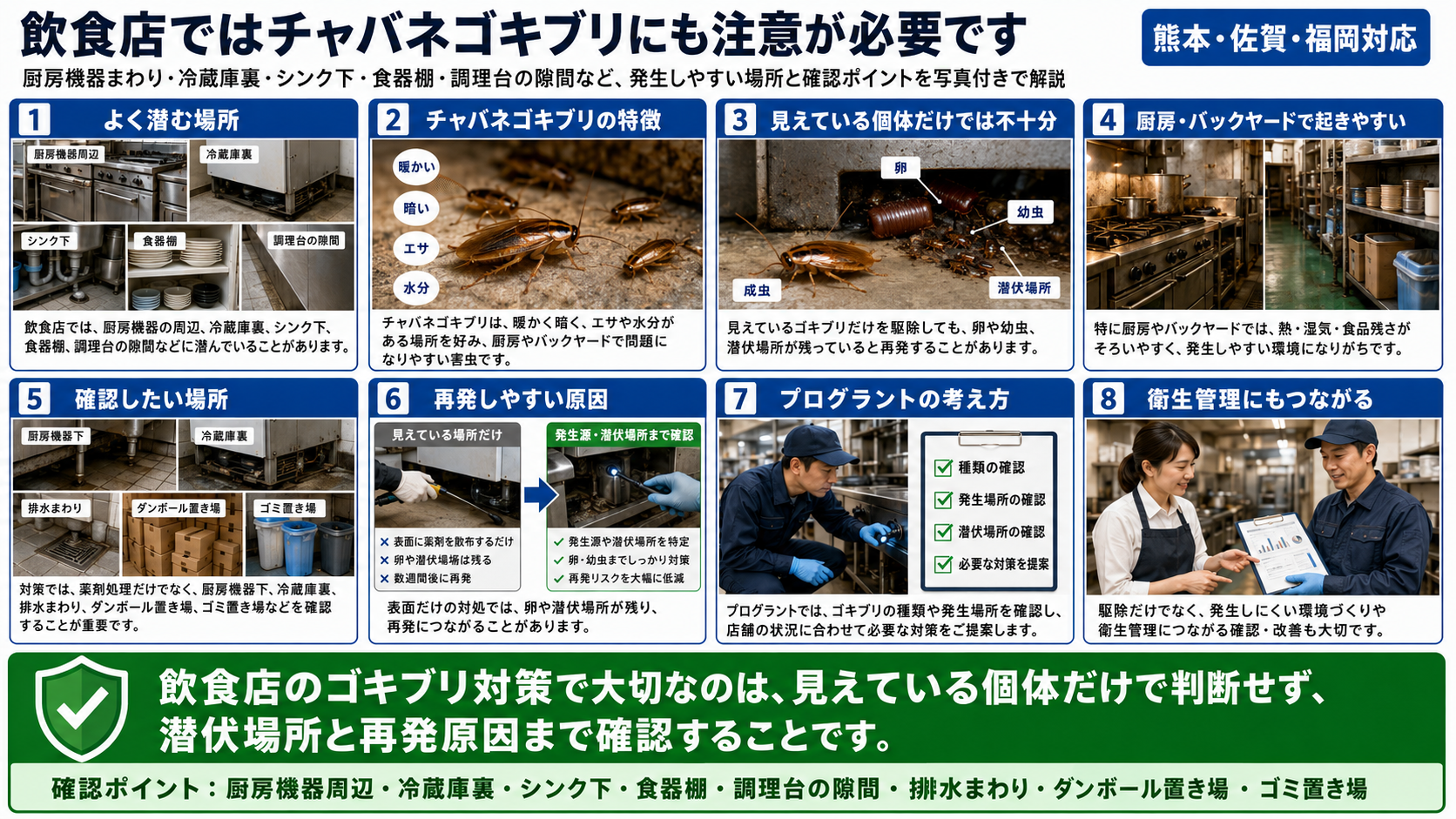 飲食店でチャバネゴキブリに注意すべき理由を、厨房機器周辺・冷蔵庫裏・シンク下・食器棚・調理台の隙間・排水まわり・ダンボール置き場・ゴミ置き場の確認ポイントまで写真付きで解説した画像