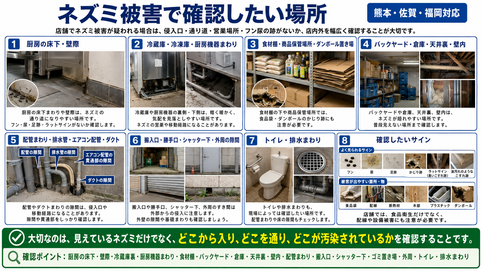 店舗のネズミ被害で確認したい場所を、厨房の床下・冷蔵庫裏・食材棚・バックヤード・天井裏・配管まわり・搬入口・トイレ排水まわりと発見サインまで写真付きで解説した画像