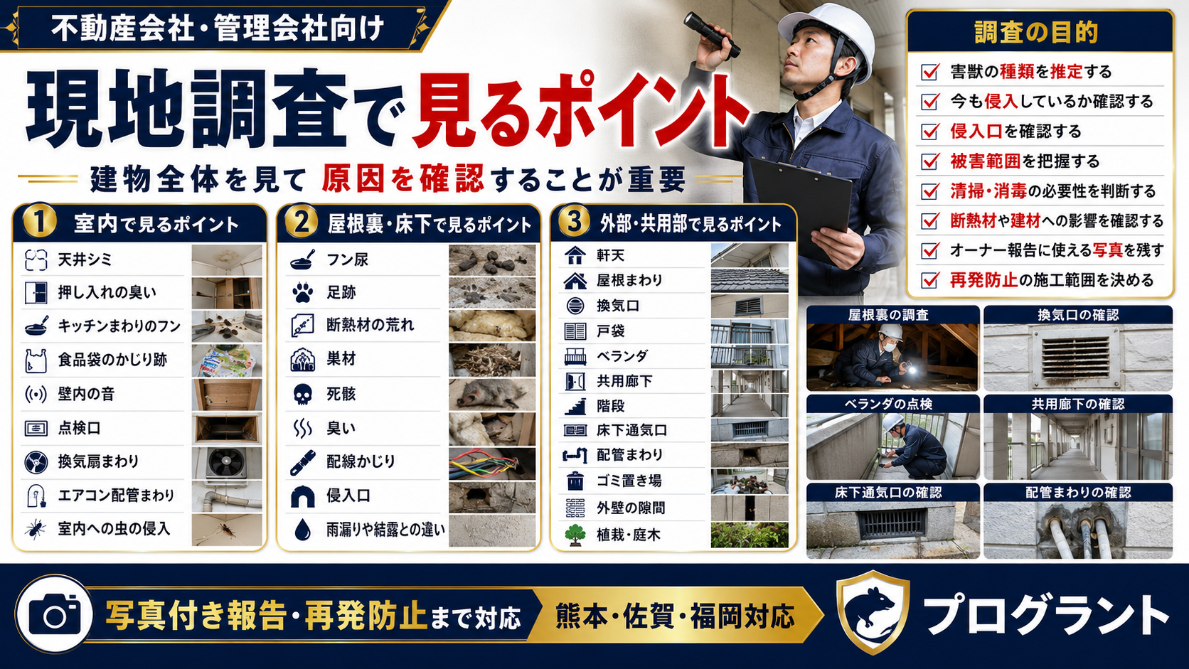 不動産会社・管理会社向けに、管理物件の現地調査で室内・屋根裏・床下・外部共用部を確認し、害獣の種類・侵入口・被害範囲・再発防止施工範囲を判断するポイントを解説した画像