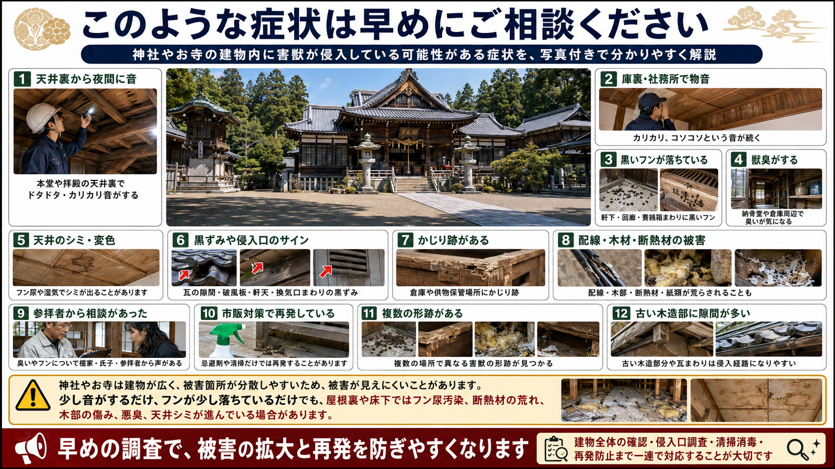 熊本・佐賀・福岡の神社やお寺で天井裏の音や黒いフン、獣臭、天井シミなど害獣侵入の症状を解説した写真付き画像 