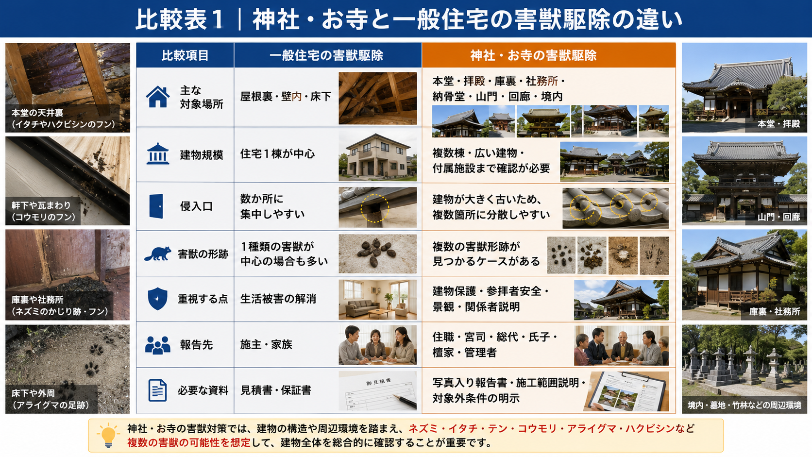 熊本・佐賀・福岡の神社・お寺と一般住宅の害獣駆除の違いを比較し、本堂・庫裏・社務所・床下の侵入口や複数害獣被害を解説 