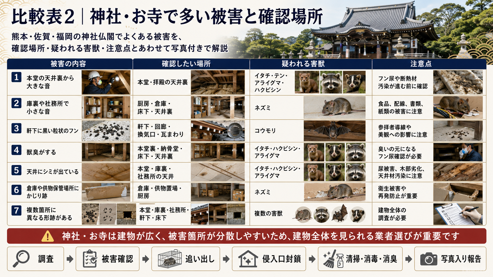 熊本・佐賀・福岡の神社やお寺で多い害獣被害と確認場所を比較した写真付き解説｜天井裏の音・黒いフン・獣臭・天井シミの調査ポイント 