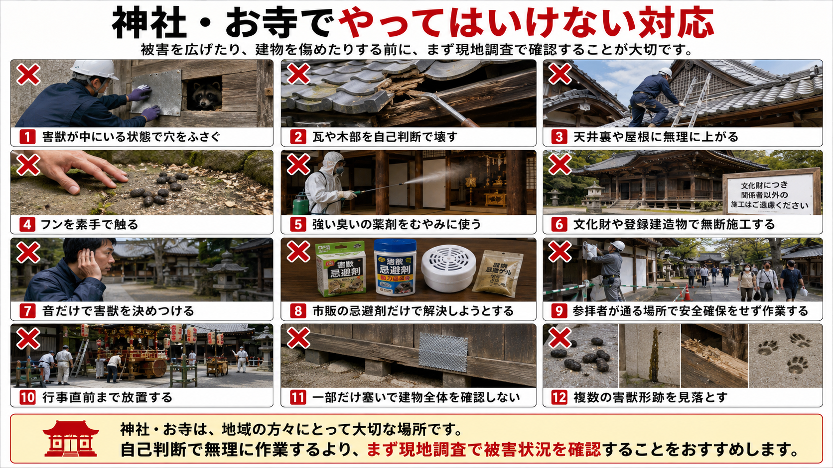 神社・お寺の害獣駆除でやってはいけない対応と現地調査の重要性を写真付きで解説
