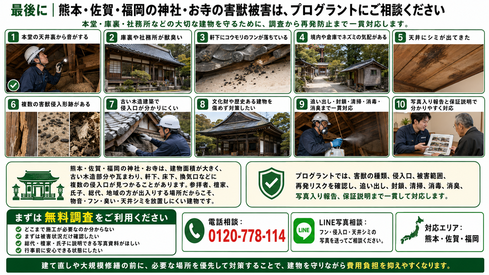 熊本・佐賀・福岡の神社・お寺の害獣被害を無料調査から追い出し・封鎖・清掃消毒・写真報告まで解説するプログラントの画像
