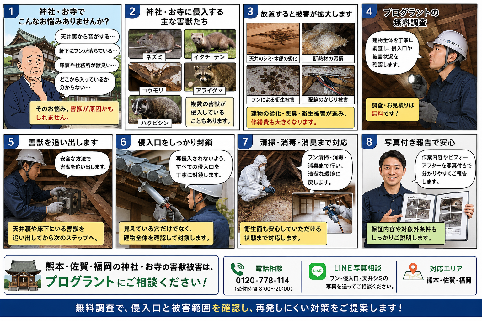熊本・佐賀・福岡の神社・お寺の害獣被害を8コマ漫画で解説し、無料調査・追い出し・侵入口封鎖・清掃消毒・写真報告まで紹介する画像

