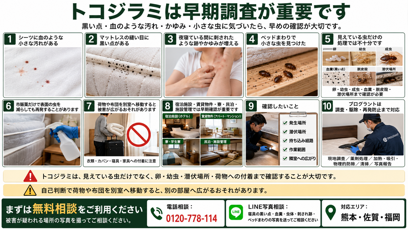 熊本・佐賀・福岡のトコジラミ駆除で早期調査の重要性、被害サイン、再発防止、無料相談を写真付きで解説した画像
