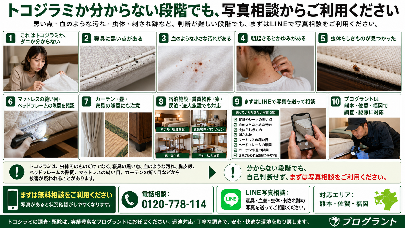 熊本・佐賀・福岡のトコジラミ写真相談で寝具の黒い点・血糞・虫体・刺され跡を確認し無料調査につなげる解説画像 