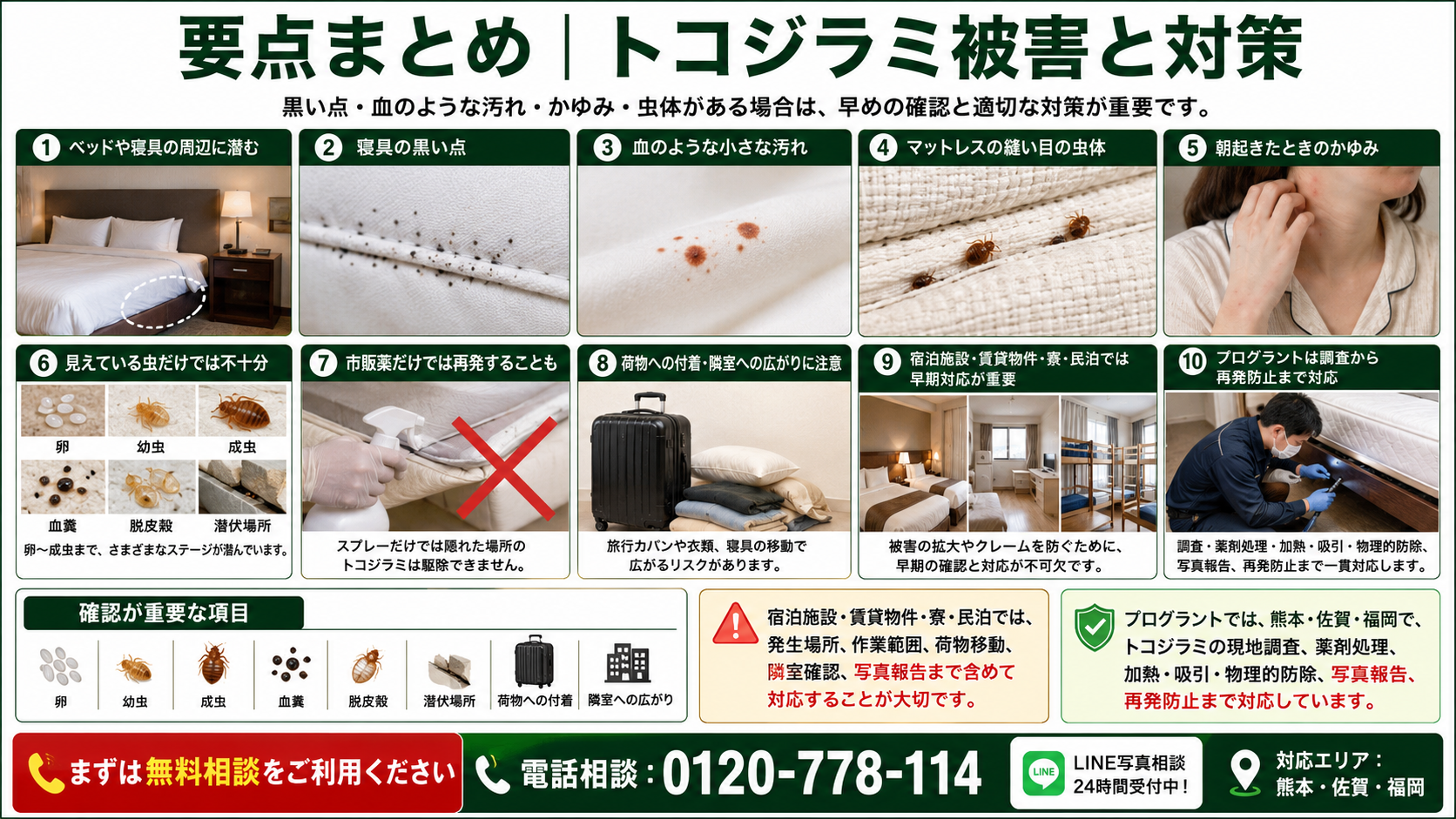 熊本・佐賀・福岡のトコジラミ被害の要点、寝具の黒い点・血糞・かゆみ・潜伏場所・再発防止を写真付きで解説する画像 