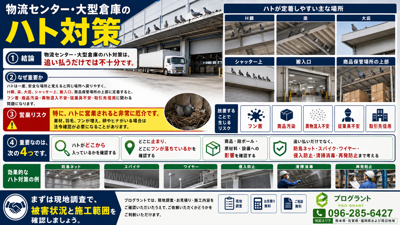 物流センター・大型倉庫のハト対策でH鋼や梁への定着、営巣リスク、フン害、商品汚染を防ぐ防鳥ネット・スパイク・ワイヤー施工を解説したプログラントの案内画像