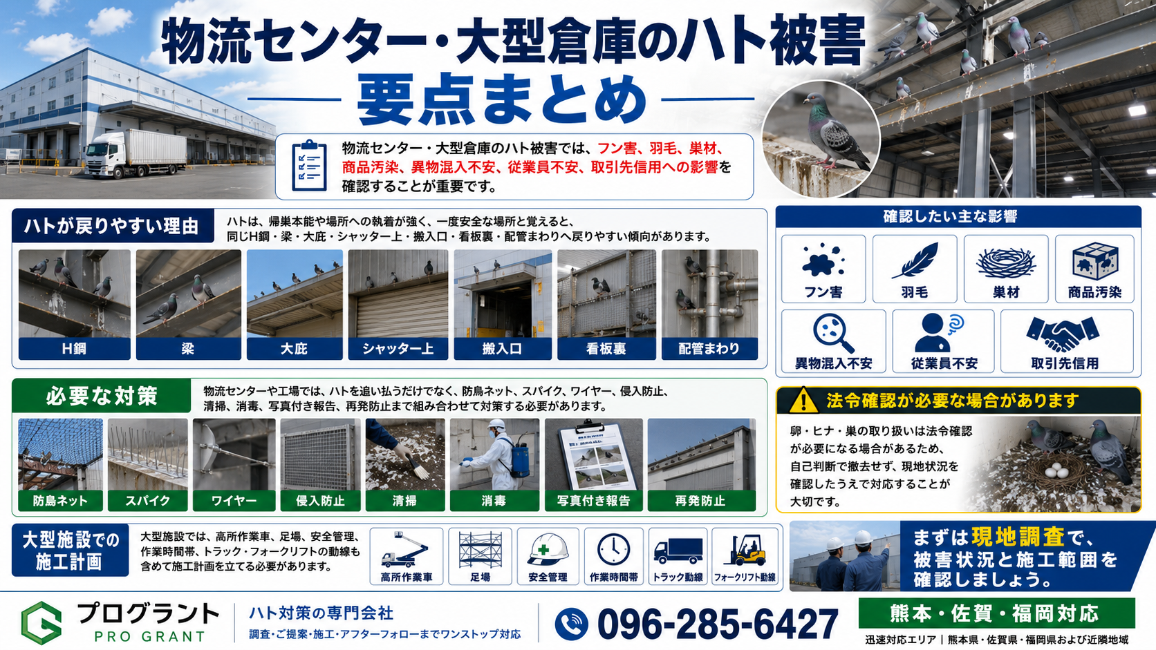 物流センター・大型倉庫のハト被害でフン害・羽毛・巣材・商品汚染・異物混入不安を防ぐ防鳥ネットやスパイク施工などの再発防止対策を解説した画像
