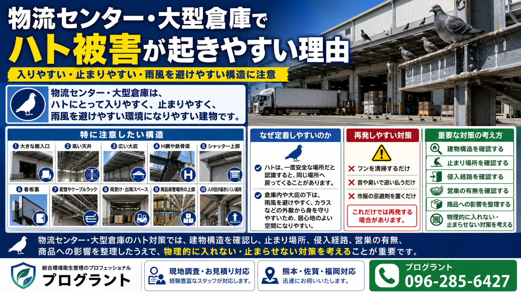 物流センター・大型倉庫でハト被害が起きやすい理由として搬入口・大庇・H鋼・梁・シャッター上への定着と物理的防鳥対策の重要性を解説した画像