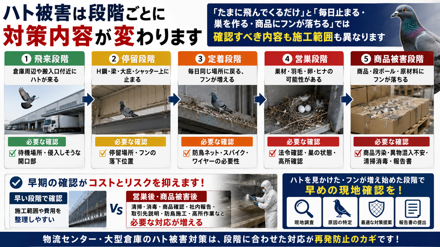 物流センター・大型倉庫でハトが同じ場所へ戻りやすい理由とフン害・商品汚染・営巣リスクを防ぐ再発防止対策を解説した画像