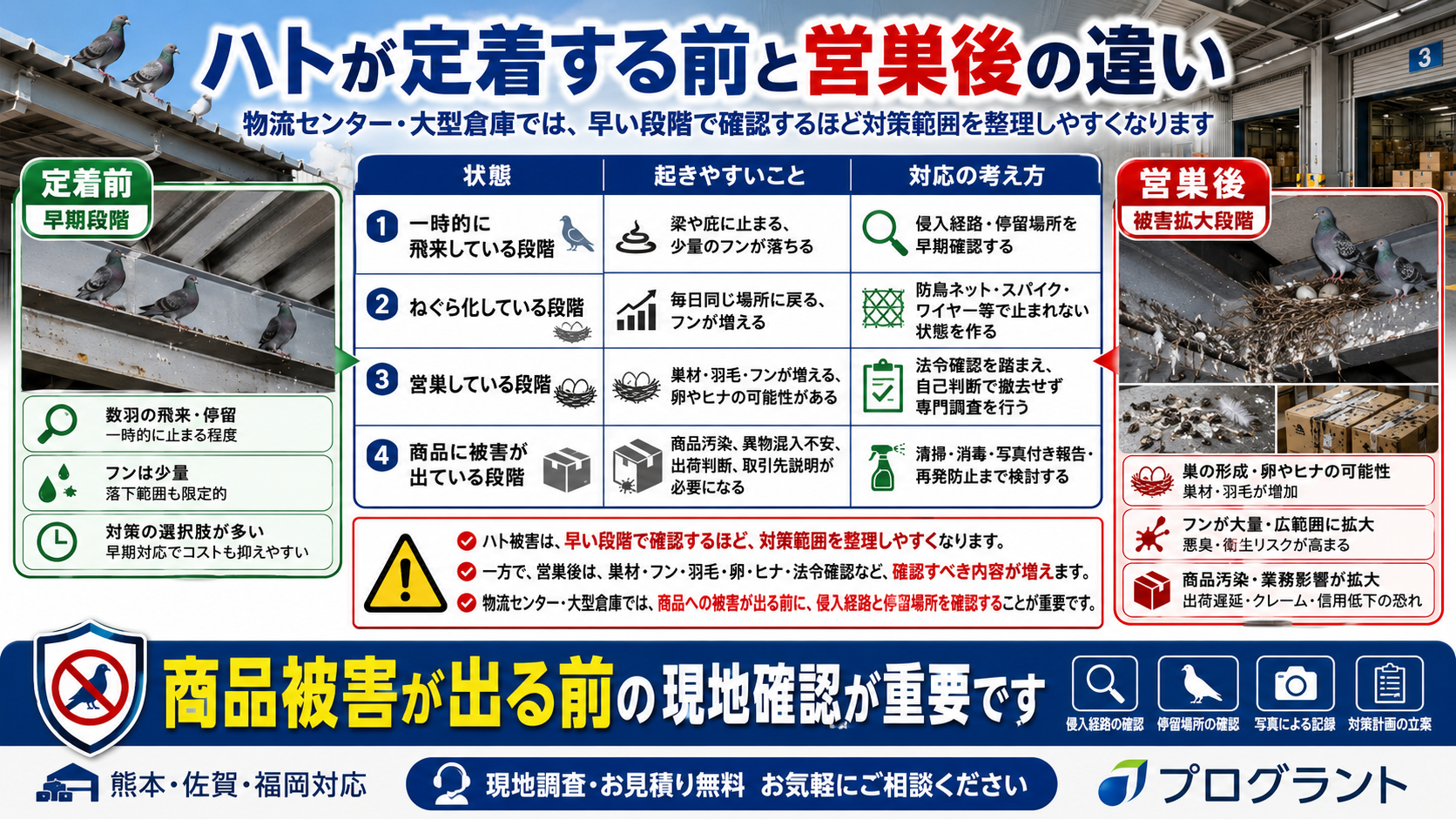 物流センター・大型倉庫でハトが定着する前と営巣後の違いを比較し商品被害前の現地調査と再発防止対策の重要性を解説した画像