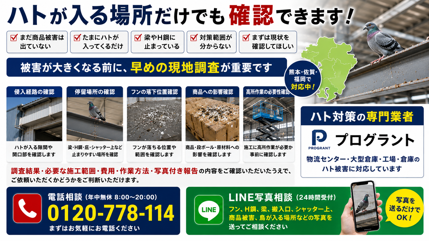 ハトが入る場所だけでも確認できる物流センター・大型倉庫向け現地調査とLINE写真相談を案内するプログラントのハト被害対策画像