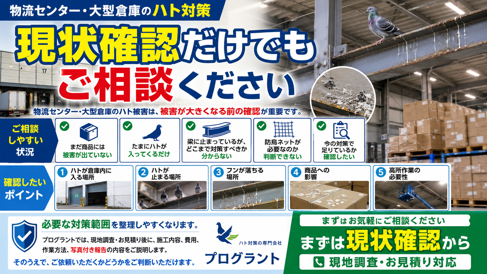 物流センター・大型倉庫のハト対策で現状確認だけでも相談できることを伝え、侵入場所・停留場所・フン落下場所・商品への影響を早期調査する重要性を解説した画像