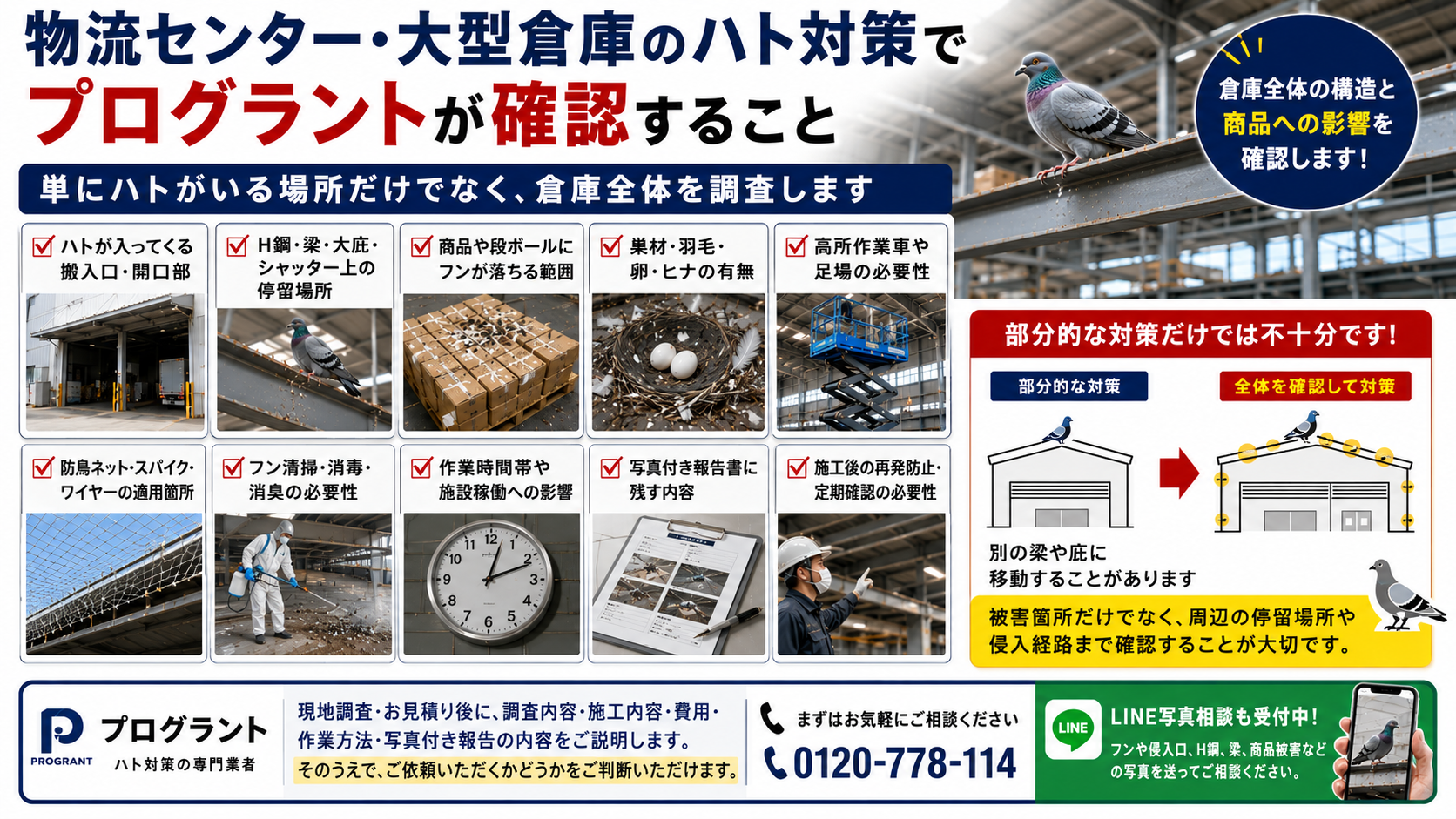 物流センター・大型倉庫のハト対策でプログラントが確認する搬入口・停留場所・フン落下範囲・営巣状況・高所作業・防鳥施工・写真付き報告を解説した画像