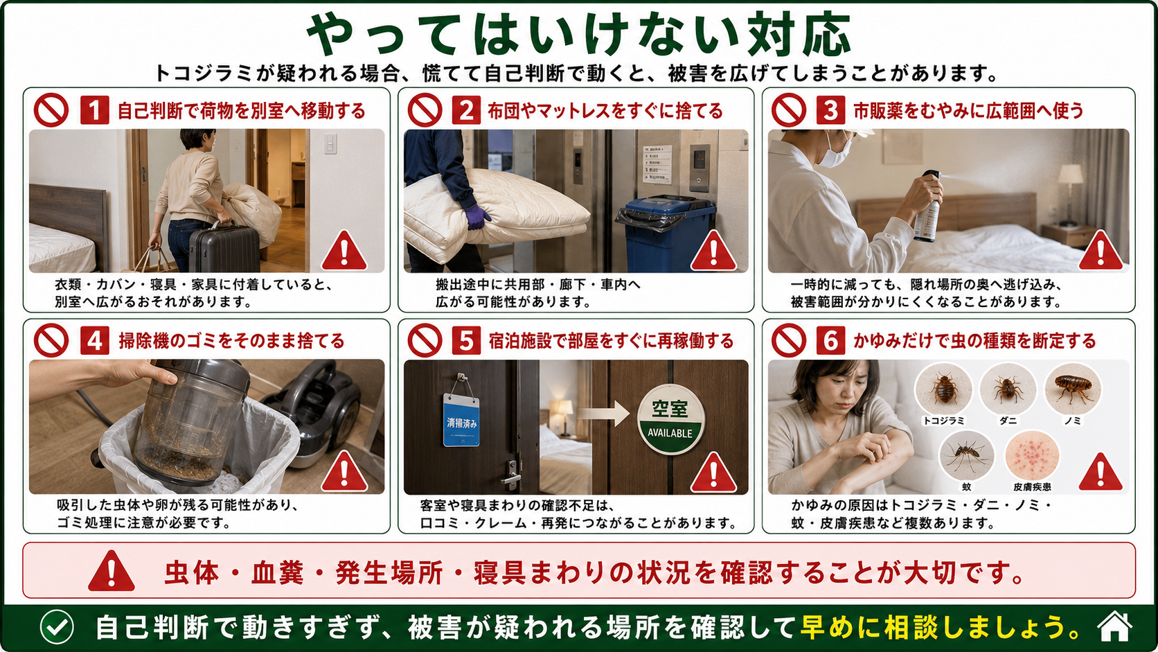 トコジラミが疑われる時にやってはいけない対応を、荷物移動・寝具廃棄・市販薬使用・掃除機処理・宿泊施設の再稼働リスクまで写真付きで解説した画像 
