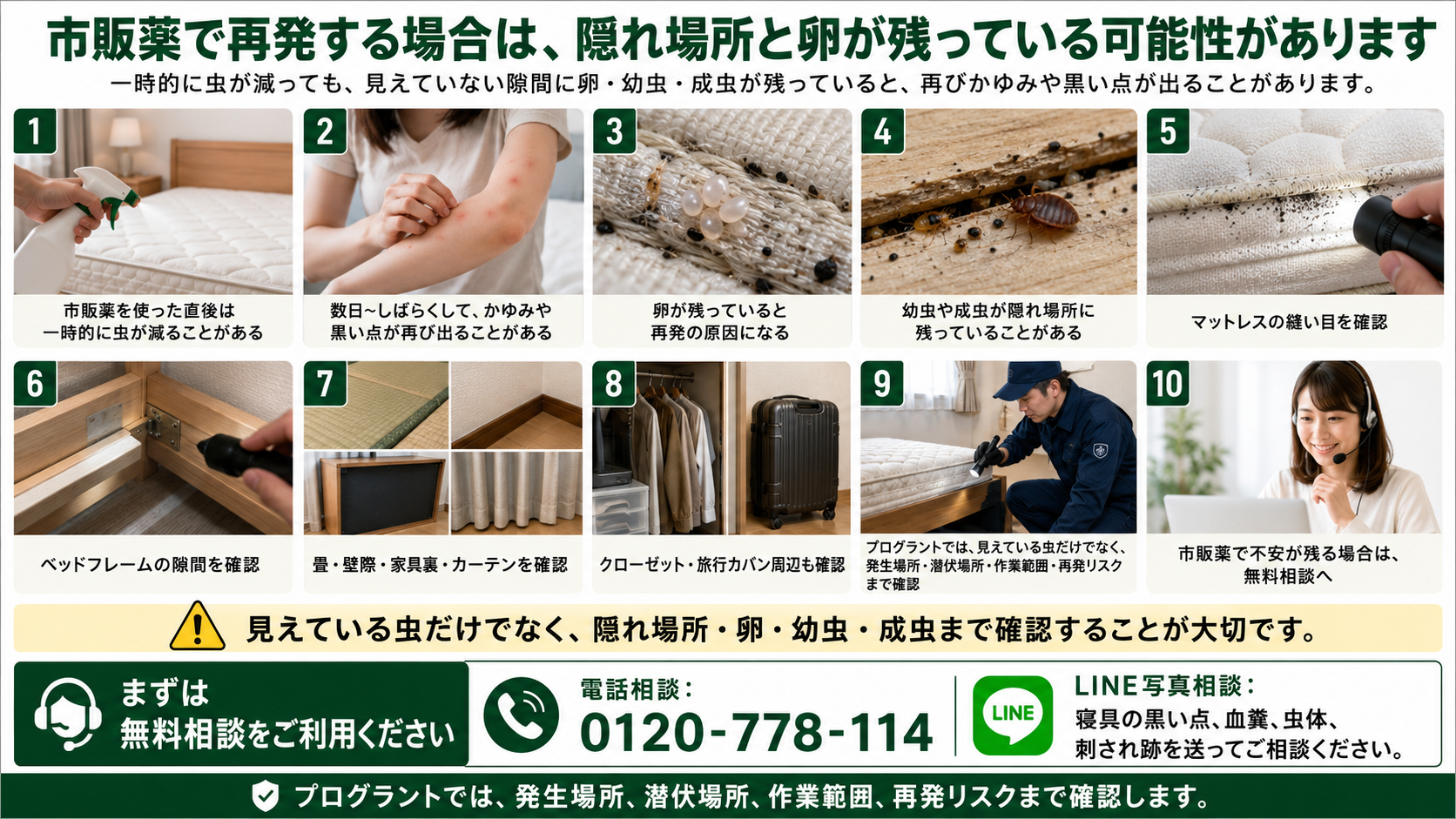 市販薬でトコジラミが再発する理由を隠れ場所・卵・幼虫・成虫の残存リスクと無料相談まで写真付きで解説した画像 