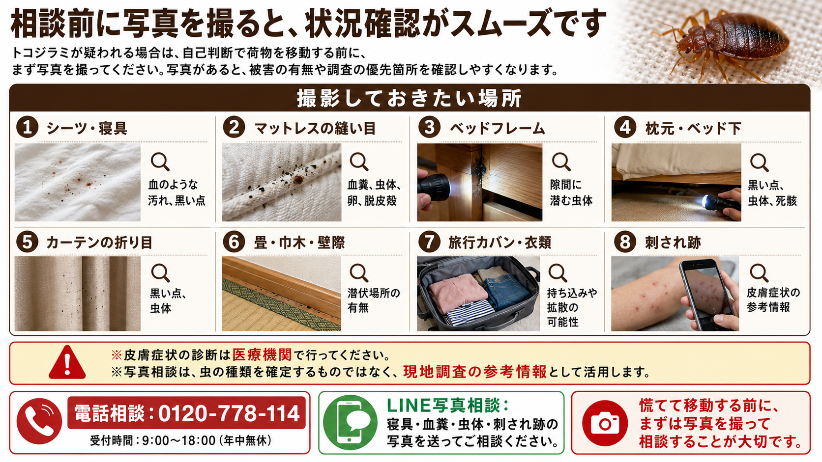 トコジラミが疑われる際に相談前に撮影しておきたい場所と写真相談の注意点を解説した画像
