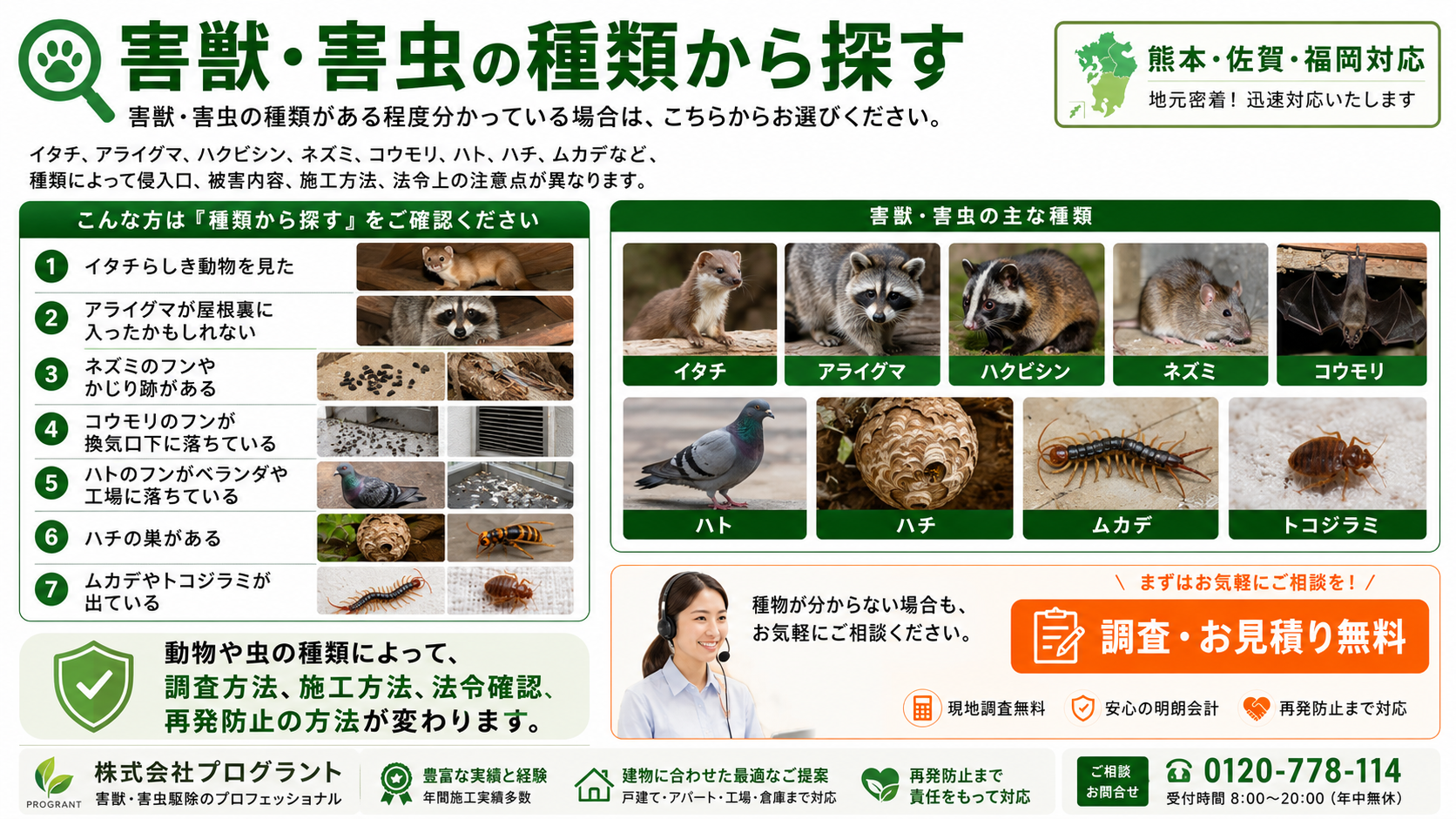 熊本・佐賀・福岡対応の害獣・害虫駆除サービスを、種類別に写真付きで案内する株式会社プログラントの解説画像