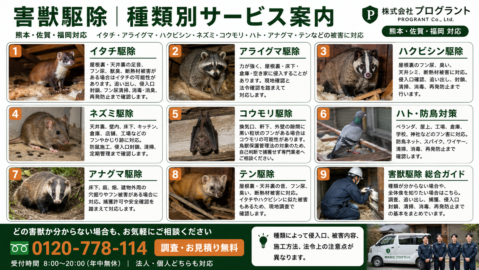 熊本・佐賀・福岡対応の害獣駆除サービスをイタチ・アライグマ・ハクビシン・ネズミ・コウモリ・ハト・アナグマ・テン別に写真付きで解説する株式会社プログラントの案内画像
