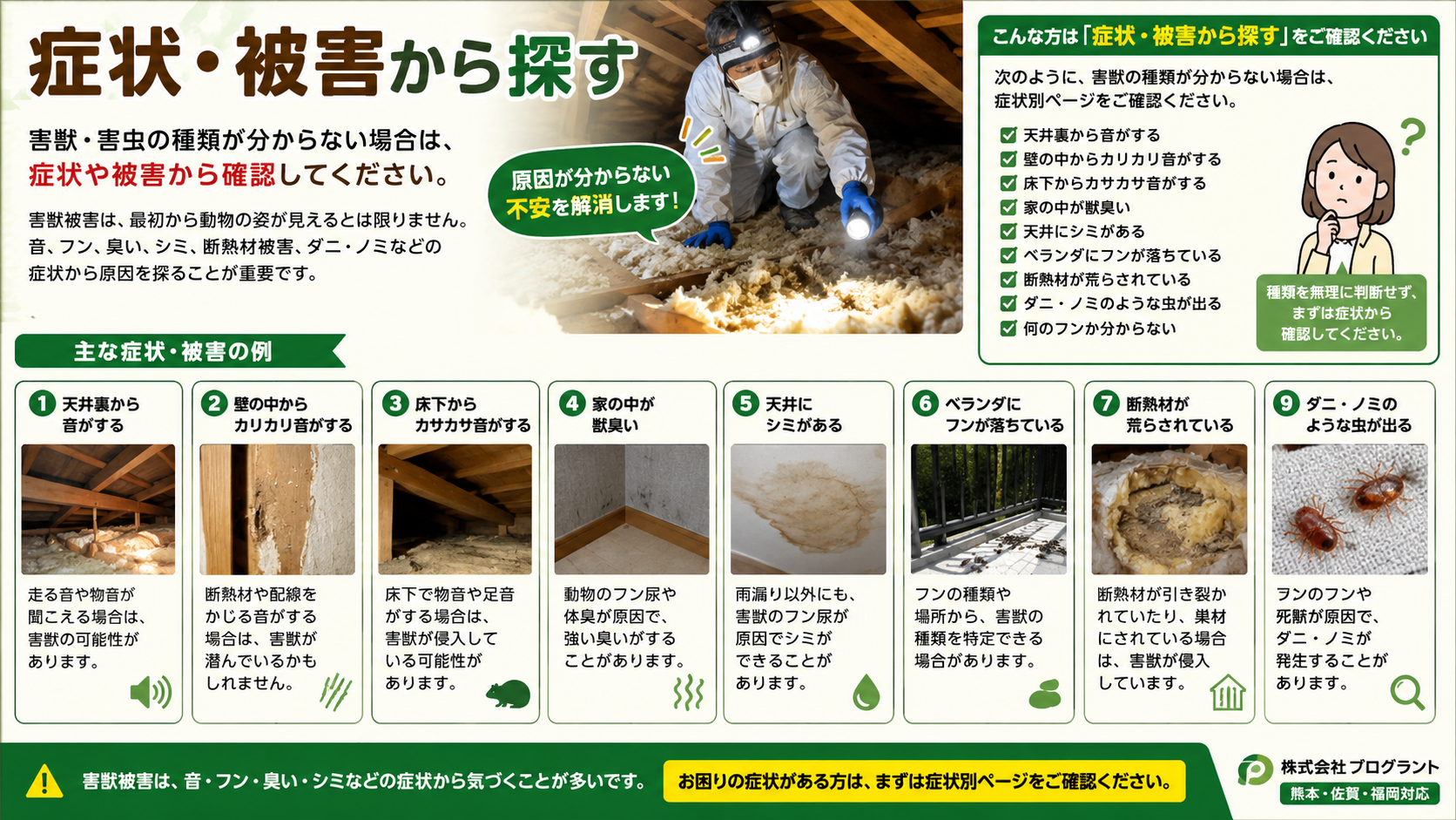 熊本・佐賀・福岡対応の害獣・害虫被害を、音・フン・臭い・シミ・断熱材被害・ダニノミなどの症状別に写真付きで案内する株式会社プログラントの解説画像