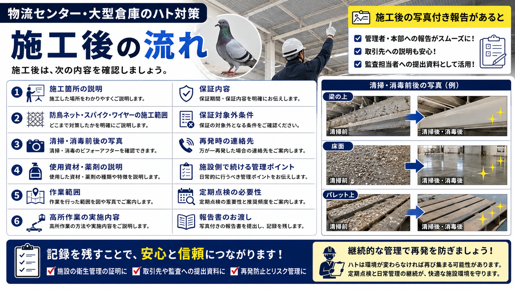 物流センター・大型倉庫のハト対策における施工後の流れと写真付き報告