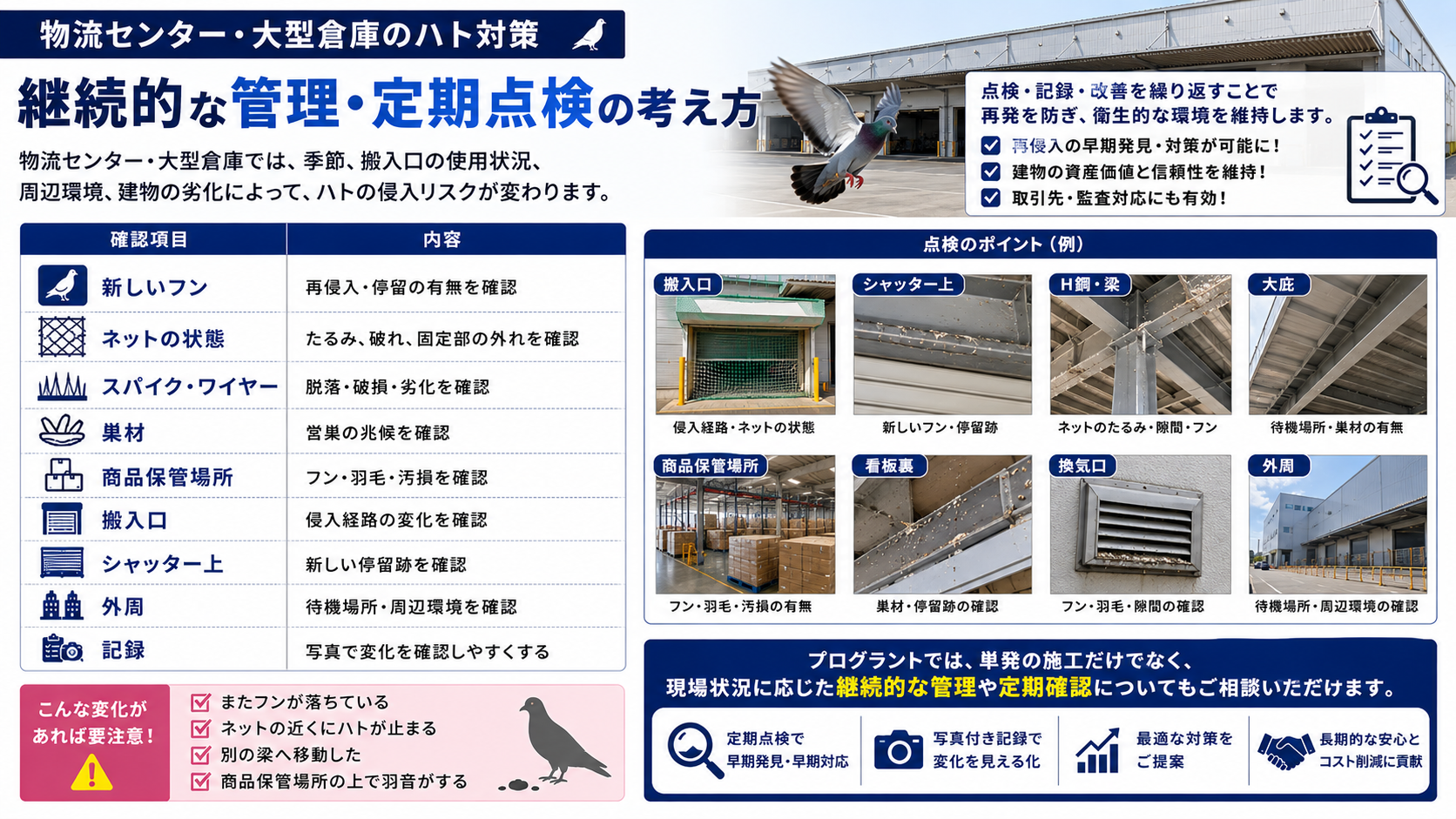 物流センター・大型倉庫のハト対策に必要な継続管理と定期点検