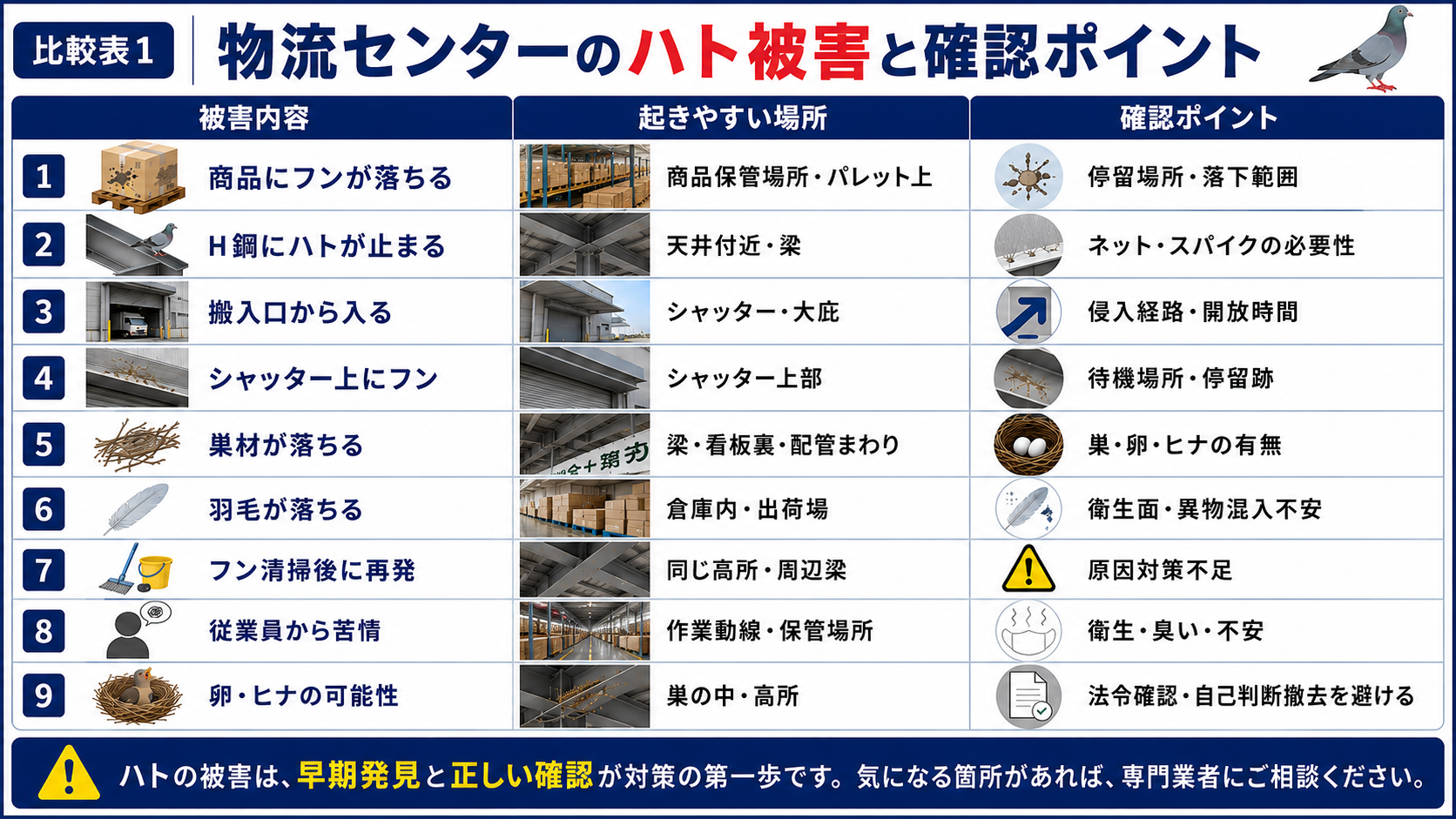 物流センターのハト被害と確認ポイントを比較表で解説したサムネイル画像。商品へのフン落下、H鋼や梁への停留、搬入口からの侵入、シャッター上のフン、巣材や羽毛、卵・ヒナの可能性など、防鳥対策前に確認すべき項目を紹介。