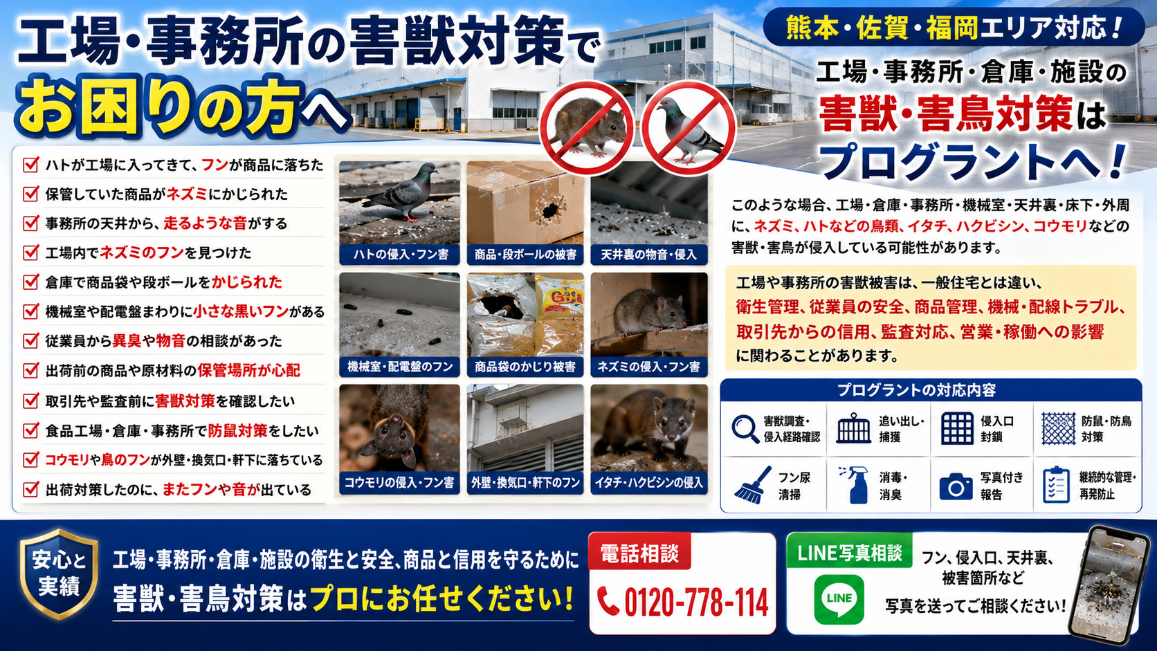 熊本・佐賀・福岡の工場・事務所・倉庫で起きる害獣・害鳥被害と対策