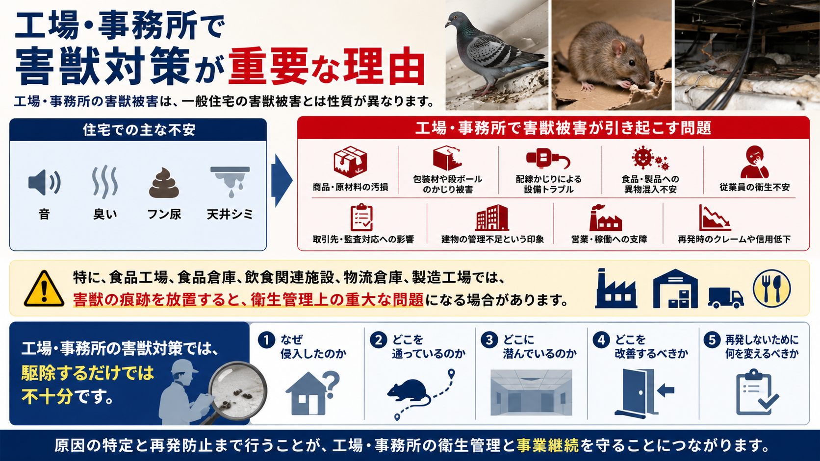 工場・事務所で害獣対策が重要な理由と再発防止の確認ポイント