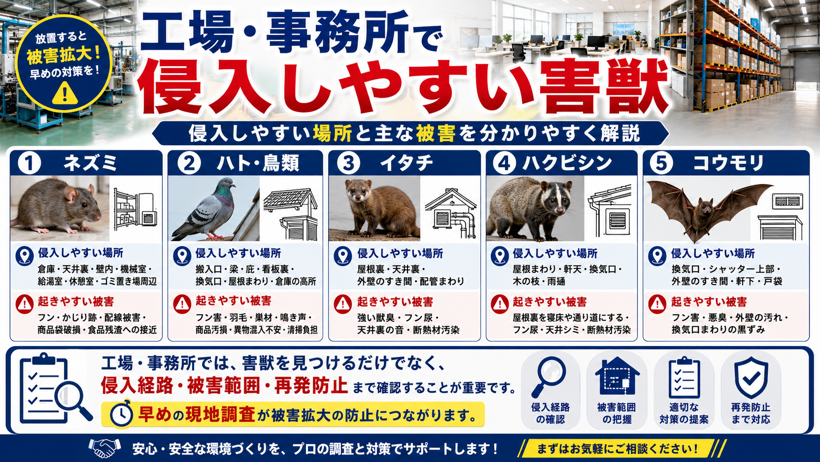 工場・事務所で侵入しやすいネズミ・ハト・イタチ・ハクビシン・コウモリの被害