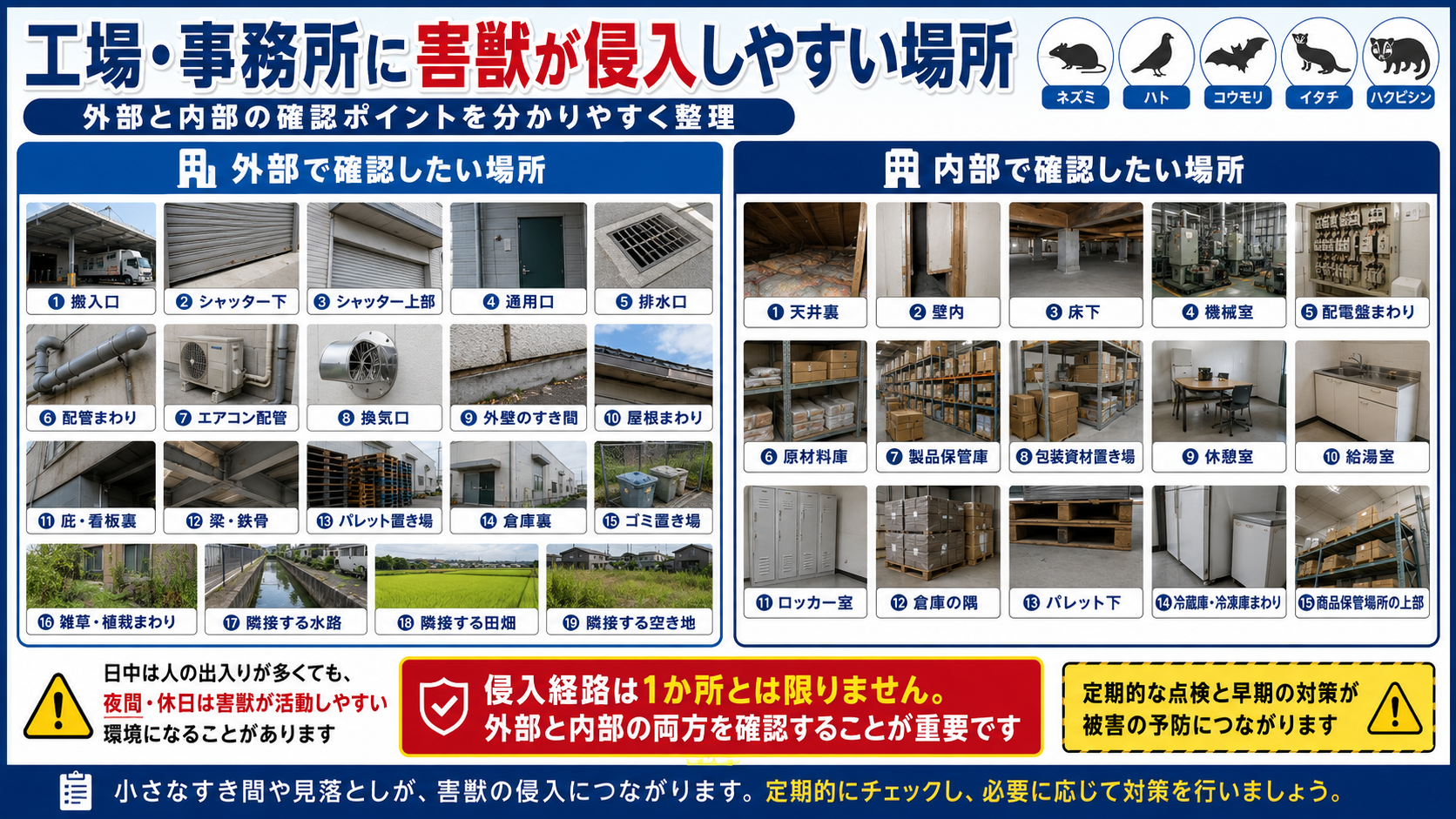 工場・事務所に害獣が侵入しやすい外部と内部の確認ポイント