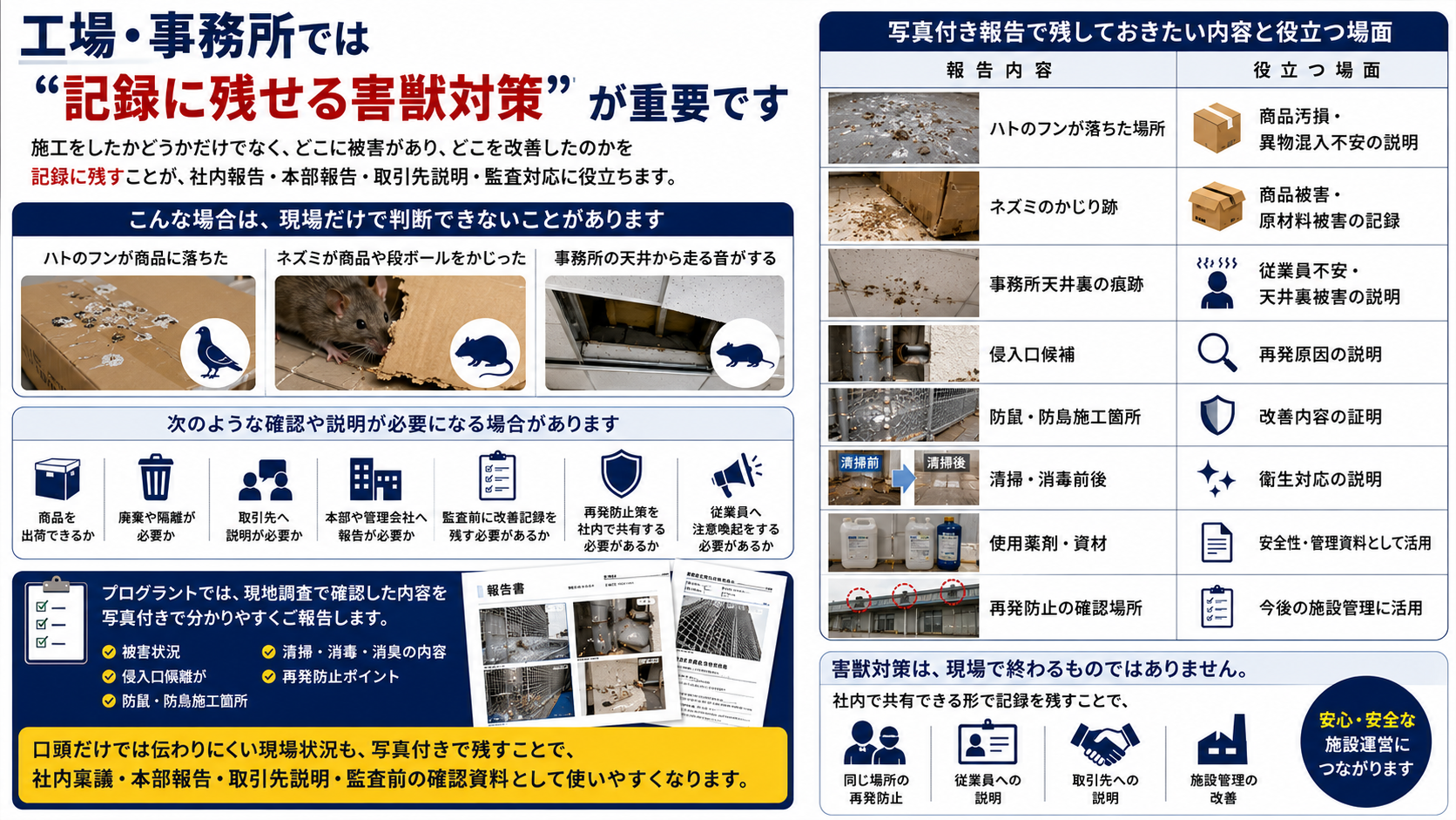 工場・事務所の害獣対策を記録に残す写真付き報告と再発防止