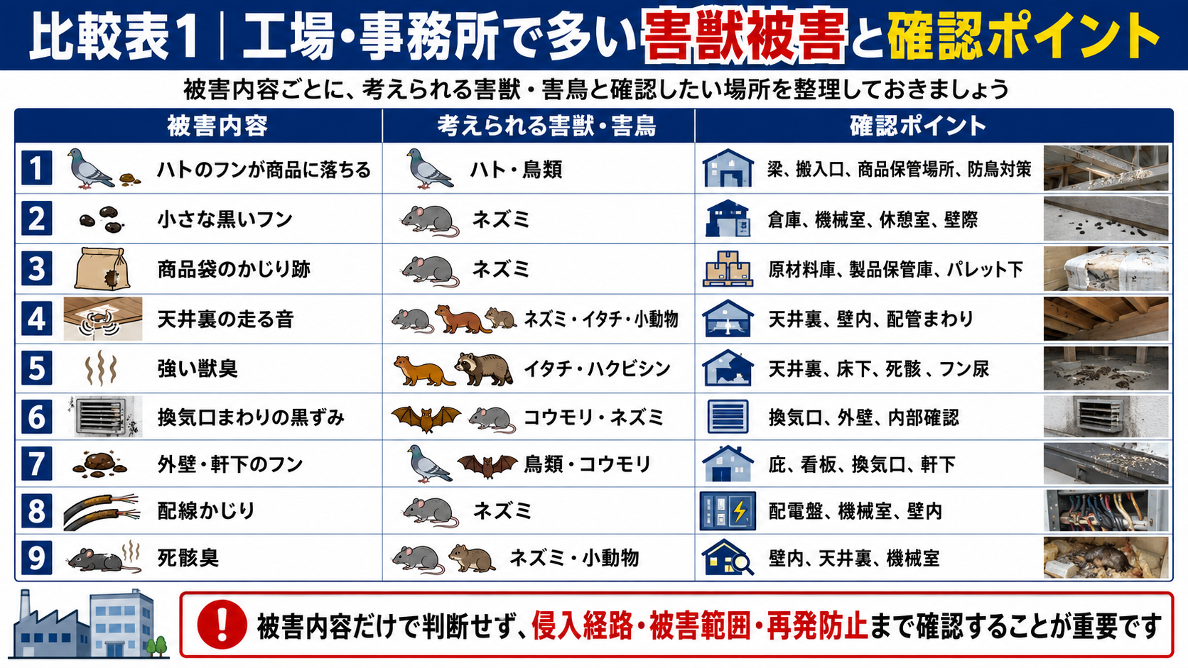 工場・事務所で多い害獣被害と確認ポイントの比較表
